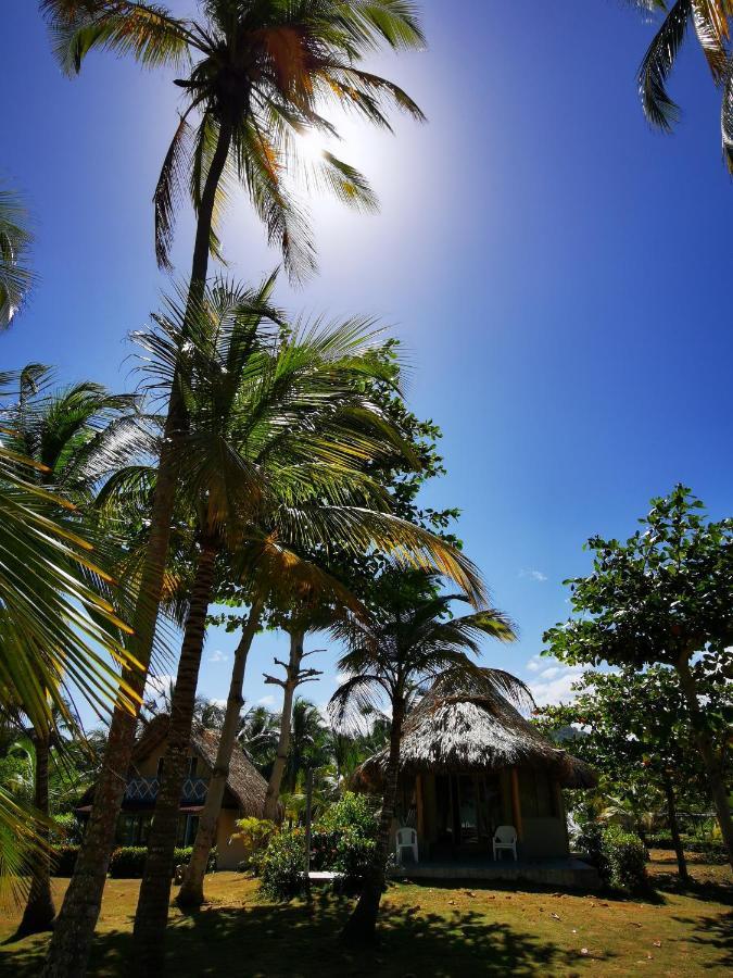 Hotel Playa Mandala 팔로미노 외부 사진
