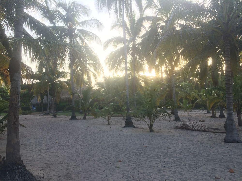 Hotel Playa Mandala 팔로미노 외부 사진